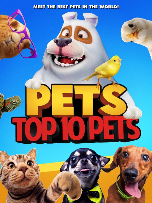 Pets: Top 10 Pets (2021)